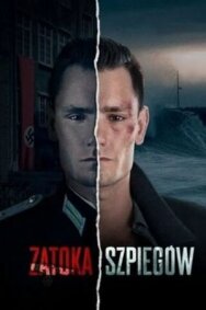 Шпионский залив постер к фильму смотреть онлайн на HD Rezka