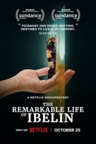 Ibelin: Невероятная жизнь геймера постер к фильму смотреть онлайн на HD Rezka