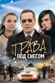 Трава под снегом постер к фильму смотреть онлайн на HD Rezka