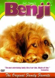 Бенджи постер к фильму смотреть онлайн на HD Rezka