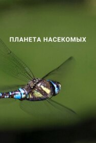 Планета насекомых постер к фильму смотреть онлайн на HD Rezka
