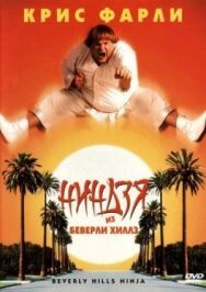 Ниндзя из Беверли Хиллз постер к фильму смотреть онлайн на HD Rezka