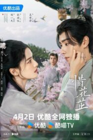История Хуа Чжи постер к фильму смотреть онлайн на HD Rezka