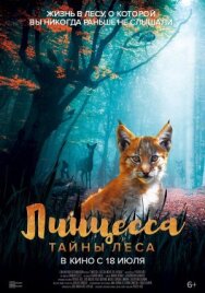 Линцесса. Тайны леса постер к фильму смотреть онлайн на HD Rezka