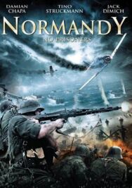 Красная роза Нормандии постер к фильму смотреть онлайн на HD Rezka