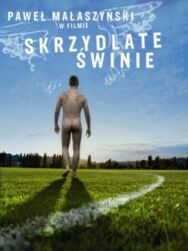 Крылатые свиньи постер к фильму смотреть онлайн на HD Rezka