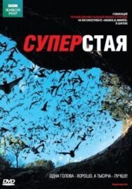 BBC: Суперстая постер к фильму смотреть онлайн на HD Rezka