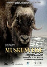 Возвращение овцебыка постер к фильму смотреть онлайн на HD Rezka
