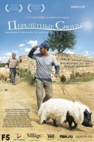 Перелетные свиньи постер к фильму смотреть онлайн на HD Rezka