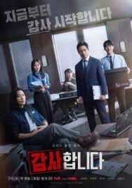 Аудиторы постер к фильму смотреть онлайн на HD Rezka