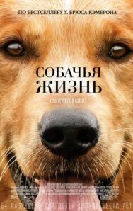Собачья жизнь постер к фильму смотреть онлайн на HD Rezka