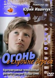 Огонь в глубине дерева постер к фильму смотреть онлайн на HD Rezka