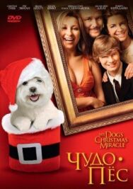 Чудо-пес постер к фильму смотреть онлайн на HD Rezka
