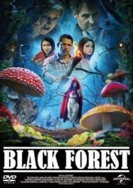 Черный лес постер к фильму смотреть онлайн на HD Rezka