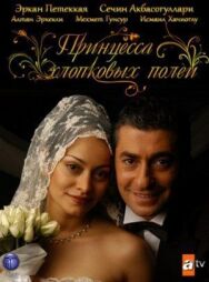Принцесса хлопковых полей постер к фильму смотреть онлайн на HD Rezka