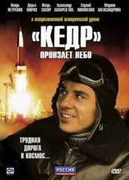 «Кедр» пронзает небо постер к фильму смотреть онлайн на HD Rezka
