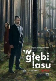 В густом лесу постер к фильму смотреть онлайн на HD Rezka