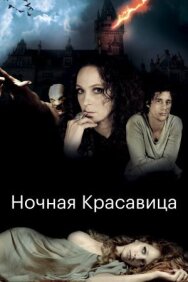 Ночная красавица постер к фильму смотреть онлайн на HD Rezka