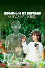 Любимый из коробки: 72 часа на любовь постер к фильму смотреть онлайн на HD Rezka