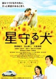 Пёс, смотрящий на звезды постер к фильму смотреть онлайн на HD Rezka
