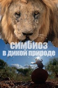 Симбиоз в дикой природе постер к фильму смотреть онлайн на HD Rezka