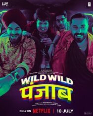Дикий, дикий Пенджаб постер к фильму смотреть онлайн на HD Rezka