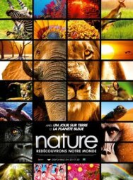Заколдованное королевство 3D постер к фильму смотреть онлайн на HD Rezka