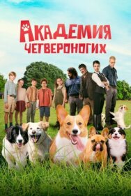 Академия четвероногих постер к фильму смотреть онлайн на HD Rezka