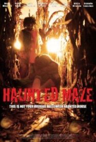 Лабиринт с привидениями постер к фильму смотреть онлайн на HD Rezka