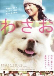 Васао постер к фильму смотреть онлайн на HD Rezka