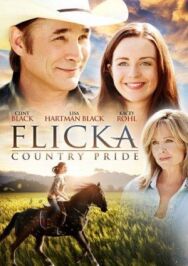 Флика 3 постер к фильму смотреть онлайн на HD Rezka
