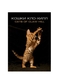 Кошки Кло-Хилл постер к фильму смотреть онлайн на HD Rezka
