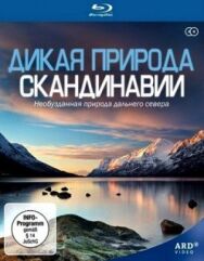 Дикая природа Скандинавии постер к фильму смотреть онлайн на HD Rezka
