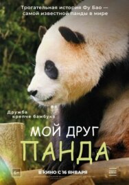 Мой друг панда постер к фильму смотреть онлайн на HD Rezka