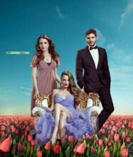Пора тюльпанов постер к фильму смотреть онлайн на HD Rezka