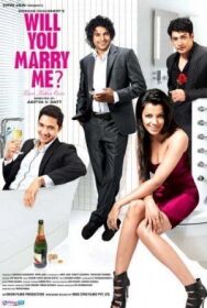 Выйдешь за меня замуж? постер к фильму смотреть онлайн на HD Rezka