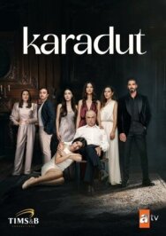 Чёрная шелковица постер к фильму смотреть онлайн на HD Rezka