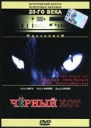 Черный кот постер к фильму смотреть онлайн на HD Rezka