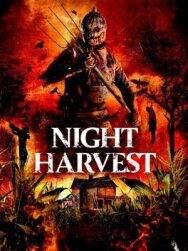 Ночной урожай постер к фильму смотреть онлайн на HD Rezka
