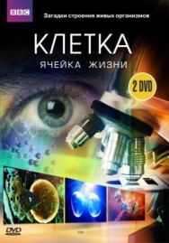 BBC: Клетка постер к фильму смотреть онлайн на HD Rezka