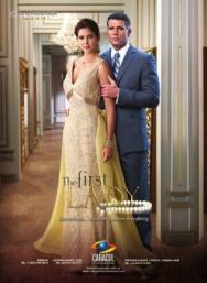 Первая леди постер к фильму смотреть онлайн на HD Rezka