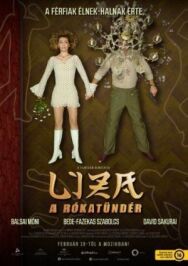 Лиза-лиса постер к фильму смотреть онлайн на HD Rezka