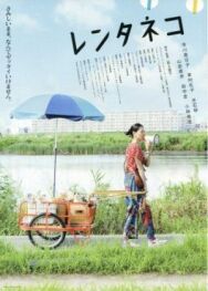 Кошка напрокат постер к фильму смотреть онлайн на HD Rezka