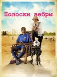 Полоски зебры постер к фильму смотреть онлайн на HD Rezka