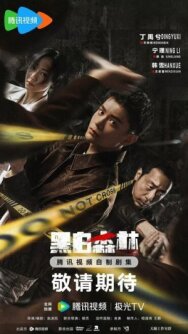 Чёрно-белый лес постер к фильму смотреть онлайн на HD Rezka