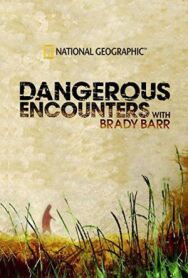 National Geographic. Опасные встречи постер к фильму смотреть онлайн на HD Rezka