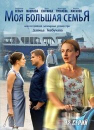 Моя большая семья постер к фильму смотреть онлайн на HD Rezka