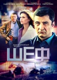 Шеф 5 постер к фильму смотреть онлайн на HD Rezka