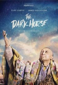 Тёмная лошадка постер к фильму смотреть онлайн на HD Rezka