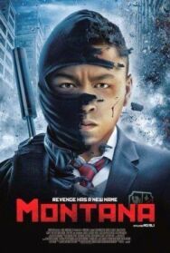 Монтана постер к фильму смотреть онлайн на HD Rezka